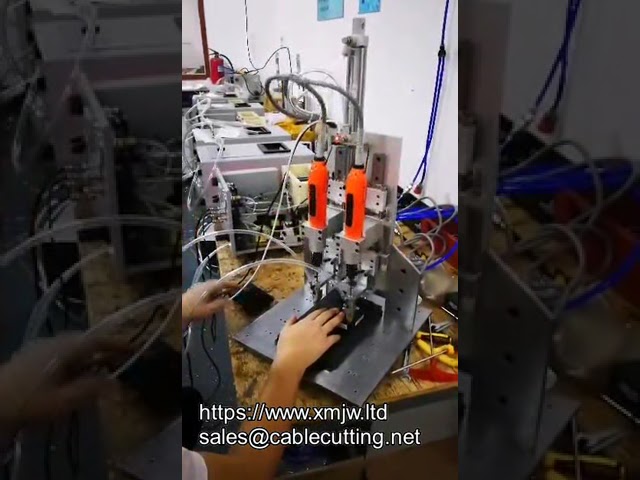 Двухголовочный электрогайковерт с автоматической подачей и перемещением по оси Z для конвейерной сборки